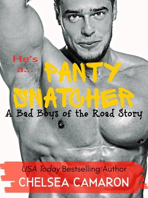 cover image of Panty Snatcher
